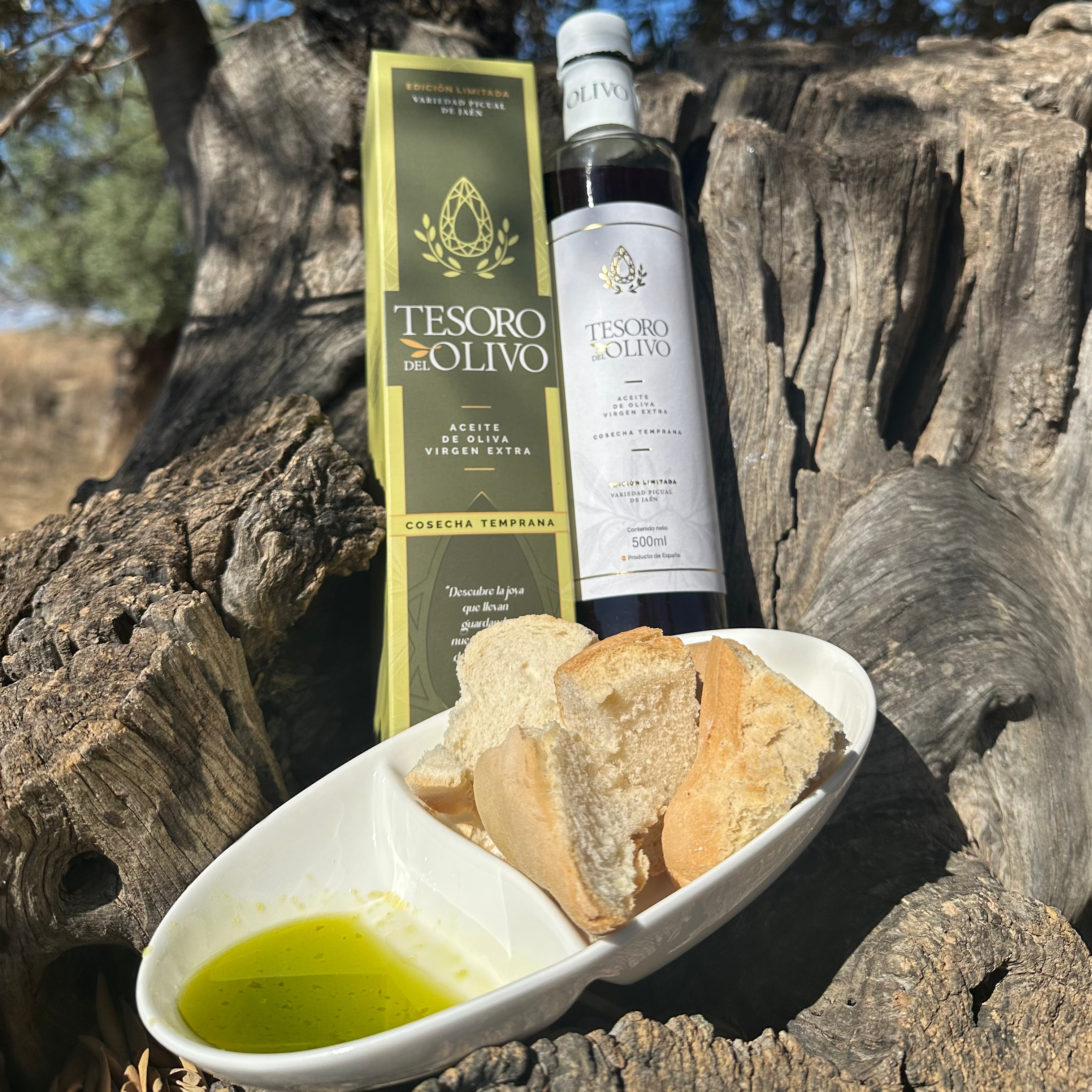 AOVE Premium de Jaén Tesoro del Olivo