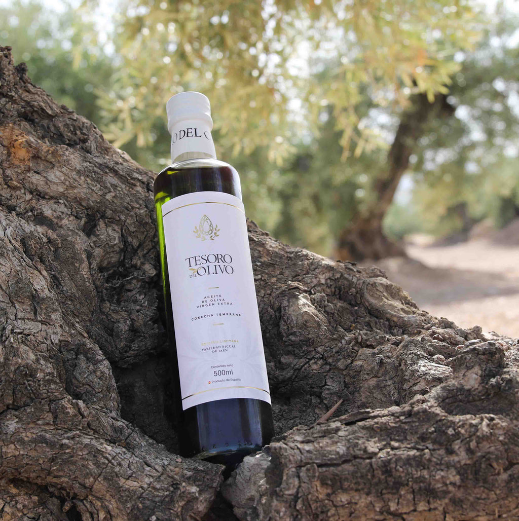 Proceso de creación del aceite de oliva Tesoro del Olivo.